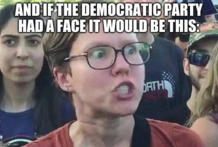 Triggered Liberal | AND IF THE DEMOCRATIC PARTY HAD A FACE IT WOULD BE THIS: | image tagged in triggered liberal | made w/ Imgflip meme maker