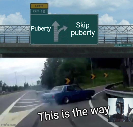 So true | Puberty; Skip puberty; This is the way | image tagged in memes,left exit 12 off ramp | made w/ Imgflip meme maker