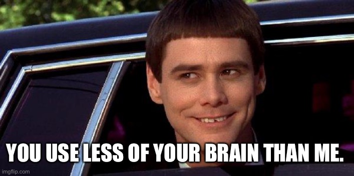 dumb and dumber | YOU USE LESS OF YOUR BRAIN THAN ME. | image tagged in dumb and dumber | made w/ Imgflip meme maker