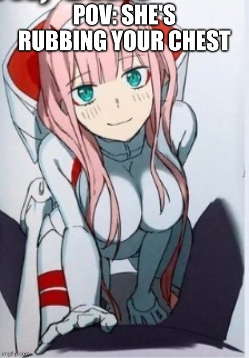 Zero two | POV: SHE'S RUBBING YOUR CHEST | image tagged in zero two | made w/ Imgflip meme maker