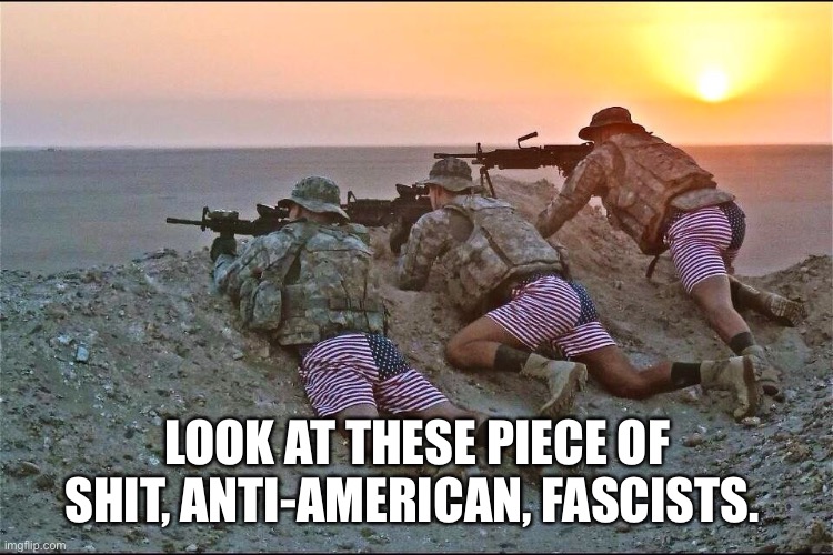 LOOK AT THESE PIECE OF SHIT, ANTI-AMERICAN, FASCISTS. | made w/ Imgflip meme maker