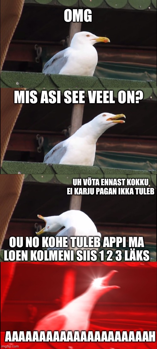 I like this little app Lind | OMG; MIS ASI SEE VEEL ON? UH VÕTA ENNAST KOKKU EI KARJU PAGAN IKKA TULEB; OU NO KOHE TULEB APPI MA LOEN KOLMENI SIIS 1 2 3 LÄKS; AAAAAAAAAAAAAAAAAAAAAH | image tagged in memes,inhaling seagull | made w/ Imgflip meme maker