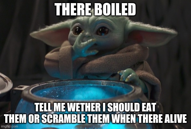 baby yoda eating eggs | THERE BOILED; TELL ME WETHER I SHOULD EAT THEM OR SCRAMBLE THEM WHEN THERE ALIVE | image tagged in baby yoda eating eggs | made w/ Imgflip meme maker