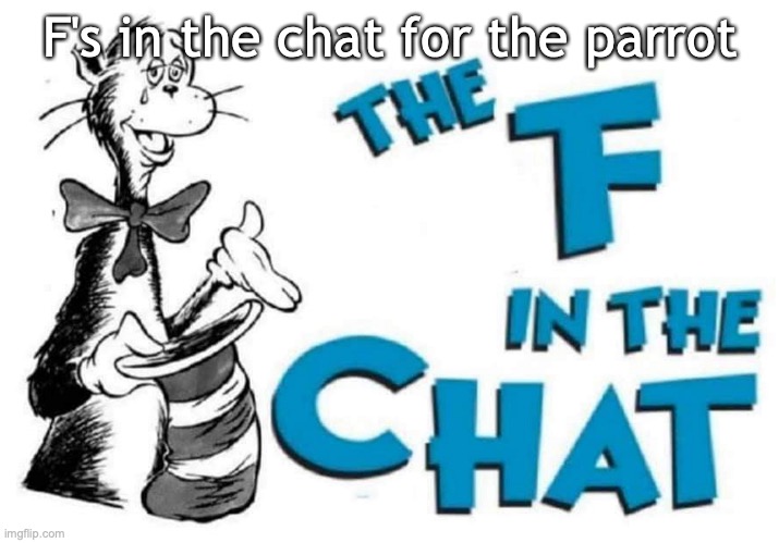 The F in the Chat | F's in the chat for the parrot | image tagged in the f in the chat | made w/ Imgflip meme maker