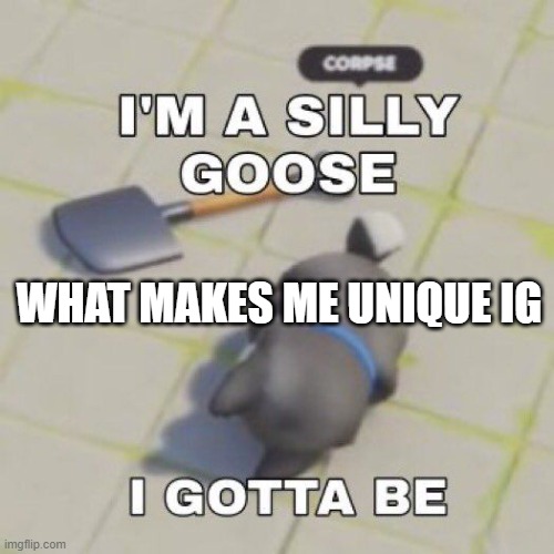 silly goose | WHAT MAKES ME UNIQUE IG | image tagged in silly goose | made w/ Imgflip meme maker