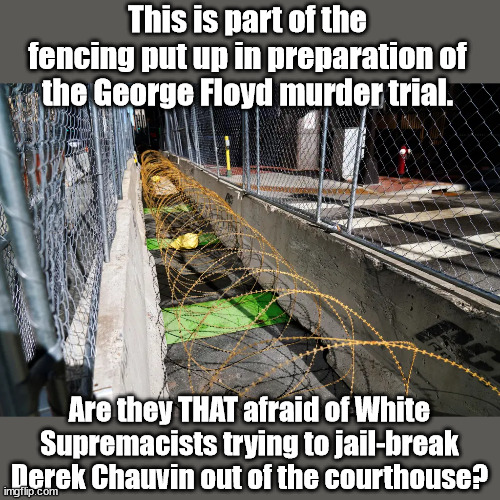 Madam Speaker would say 'Yes'. | This is part of the fencing put up in preparation of the George Floyd murder trial. Are they THAT afraid of White Supremacists trying to jail-break Derek Chauvin out of the courthouse? | image tagged in george floyd,riots | made w/ Imgflip meme maker