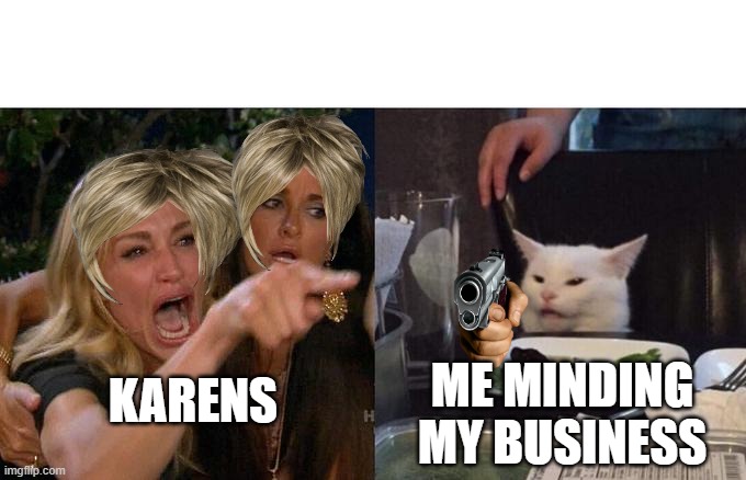 Woman Yelling At Cat | KARENS; ME MINDING MY BUSINESS | image tagged in memes,woman yelling at cat | made w/ Imgflip meme maker