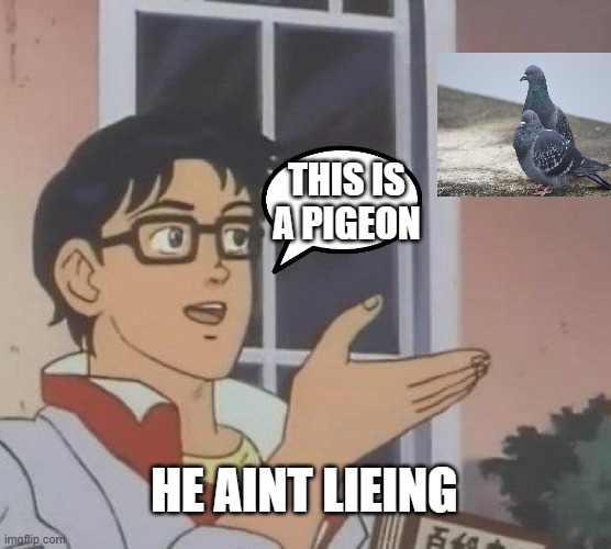 Is This A Pigeon | THIS IS A PIGEON; HE AINT LIEING | image tagged in memes,is this a pigeon | made w/ Imgflip meme maker