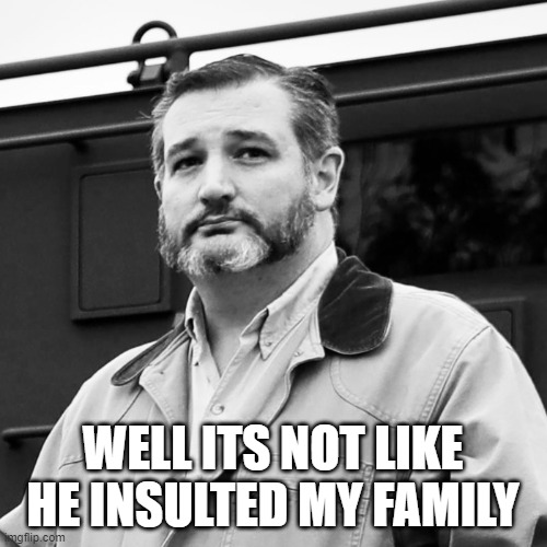 Ted Cruz Beard | WELL ITS NOT LIKE HE INSULTED MY FAMILY | image tagged in ted cruz beard | made w/ Imgflip meme maker