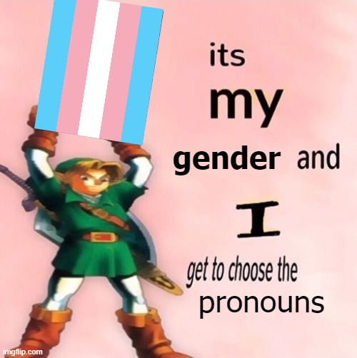 It's my gender and I get to choose my pronouns | gender; pronouns | image tagged in it's my and i get to choose the,gender,trans | made w/ Imgflip meme maker