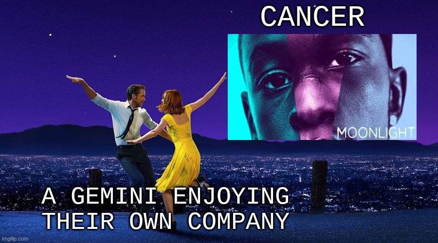 gemini cancer | CANCER; A GEMINI ENJOYING THEIR OWN COMPANY | image tagged in stupid signs | made w/ Imgflip meme maker