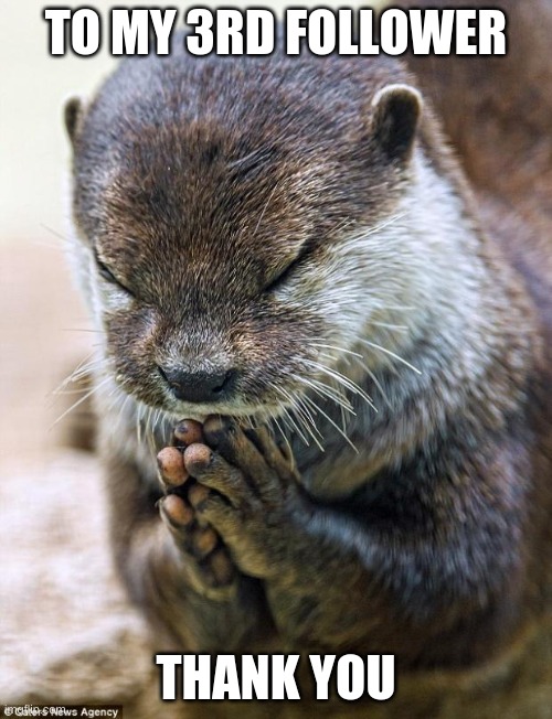 thank you so much | TO MY 3RD FOLLOWER; THANK YOU | image tagged in thank you lord otter | made w/ Imgflip meme maker