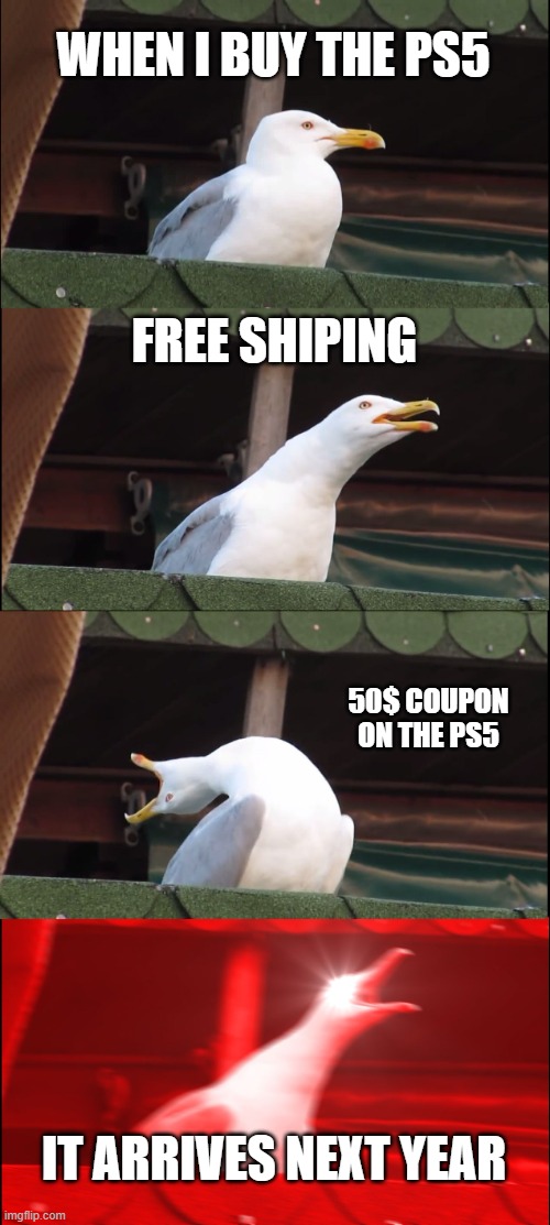 Inhaling Seagull | WHEN I BUY THE PS5; FREE SHIPING; 50$ COUPON ON THE PS5; IT ARRIVES NEXT YEAR | image tagged in memes,inhaling seagull | made w/ Imgflip meme maker