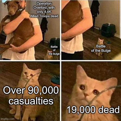 Omfg | Operation Overlord, with only 4.4K Allied Troops dead; Battle of the Bulge; Battle of the bulge; Over 90,000 casualties; 19,000 dead | image tagged in sad cat holding dog,history memes | made w/ Imgflip meme maker