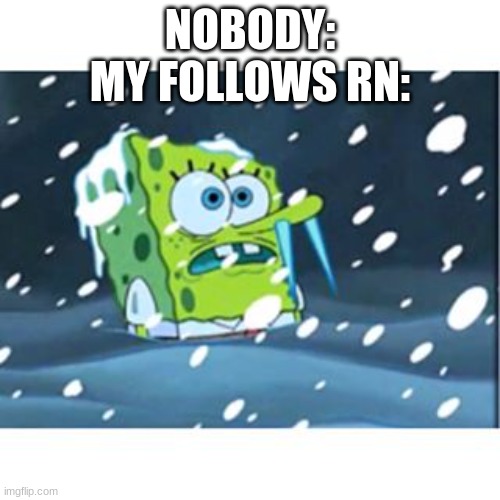 HA HA, I'LL NEVER DO A VOICE REVEAL AT THIS RATE! | NOBODY:
MY FOLLOWS RN: | image tagged in freezing spongebob | made w/ Imgflip meme maker