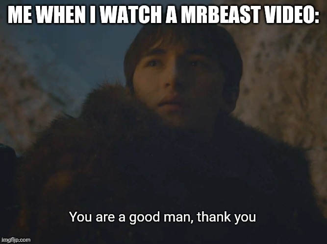You are a good man, thank you | ME WHEN I WATCH A MRBEAST VIDEO: | image tagged in you are a good man thank you,mrbeast,youtubers | made w/ Imgflip meme maker
