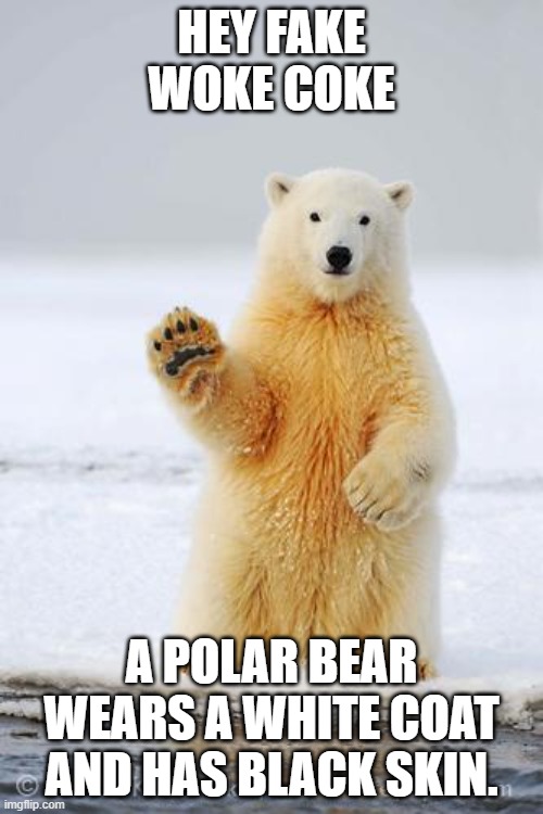 Woke | HEY FAKE WOKE COKE; A POLAR BEAR WEARS A WHITE COAT AND HAS BLACK SKIN. | image tagged in hello polar bear,less white | made w/ Imgflip meme maker