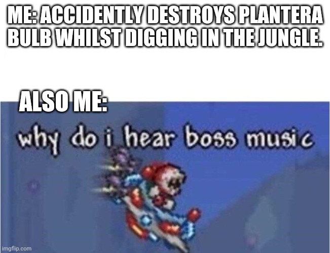 why do i hear boss music | ME: ACCIDENTLY DESTROYS PLANTERA BULB WHILST DIGGING IN THE JUNGLE. ALSO ME: | image tagged in why do i hear boss music | made w/ Imgflip meme maker