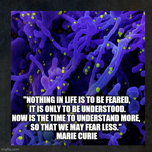 Fear | "NOTHING IN LIFE IS TO BE FEARED,
 IT IS ONLY TO BE UNDERSTOOD.

NOW IS THE TIME TO UNDERSTAND MORE, 
SO THAT WE MAY FEAR LESS." 
MARIE CURIE | image tagged in quotes,marie curie,covid 19,life,be brave | made w/ Imgflip meme maker