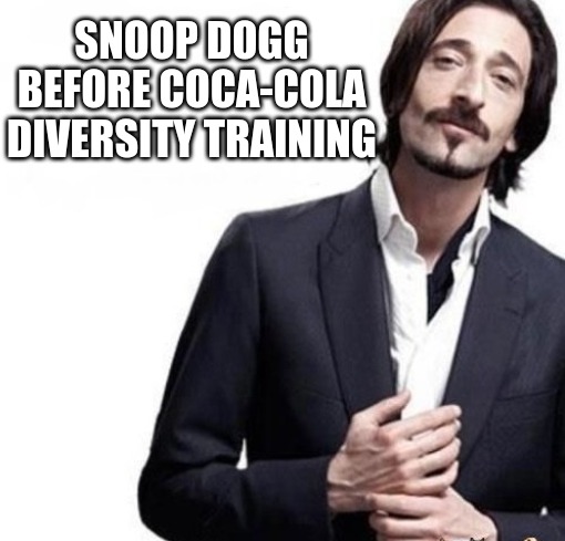 Diversity | SNOOP DOGG BEFORE COCA-COLA DIVERSITY TRAINING | image tagged in memes,funny memes,politics | made w/ Imgflip meme maker