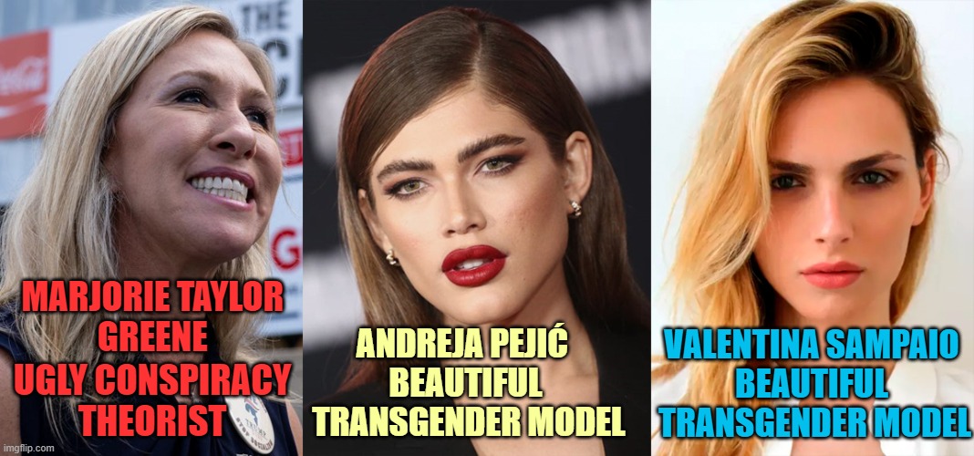 MTG - Don't hate me because I'm  transgender and beautiful! | MARJORIE TAYLOR 
GREENE; VALENTINA SAMPAIO
BEAUTIFUL
 TRANSGENDER MODEL; ANDREJA PEJIĆ 
BEAUTIFUL
 TRANSGENDER MODEL; UGLY CONSPIRACY THEORIST | image tagged in marjorie taylor greene,transgender,models,beautiful woman | made w/ Imgflip meme maker
