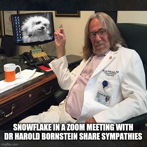 Snowflake Speaks About Terrible Event | SNOWFLAKE IN A ZOOM MEETING WITH DR HAROLD BORNSTEIN SHARE SYMPATHIES | image tagged in snowflake,dogs,funny,dr harold bornstein,ted cruz,donald trump | made w/ Imgflip meme maker