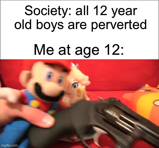 Is this relatable for anyone? | Society: all 12 year old boys are perverted; Me at age 12: | image tagged in mario wtf sml | made w/ Imgflip meme maker
