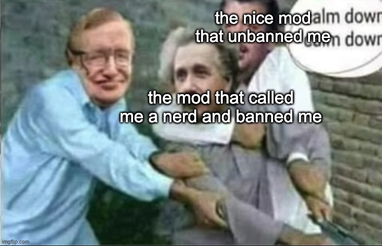 got unbanned from r/banvideogameshate | the nice mod that unbanned me; the mod that called me a nerd and banned me | image tagged in calm down einstein,reddit | made w/ Imgflip meme maker