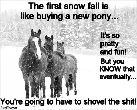 First snow fall | image tagged in chooselaughter | made w/ Imgflip meme maker