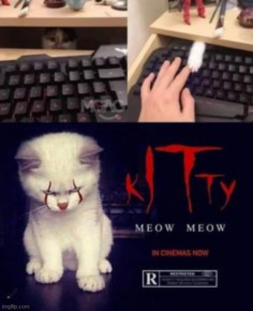 SCARYYYYYY | image tagged in cats | made w/ Imgflip meme maker