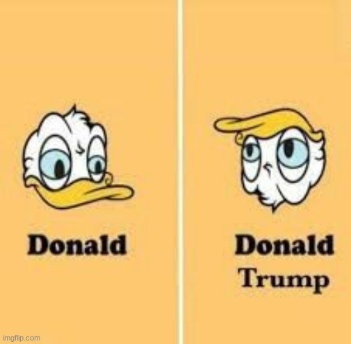 wow | image tagged in donald trump | made w/ Imgflip meme maker