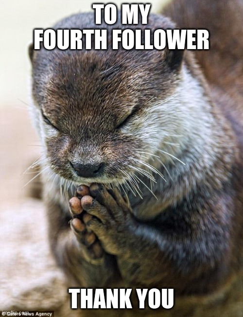 thank you so much | TO MY FOURTH FOLLOWER; THANK YOU | image tagged in thank you lord otter | made w/ Imgflip meme maker