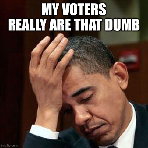 Obama Facepalm 250px | MY VOTERS REALLY ARE THAT DUMB | image tagged in obama facepalm 250px | made w/ Imgflip meme maker