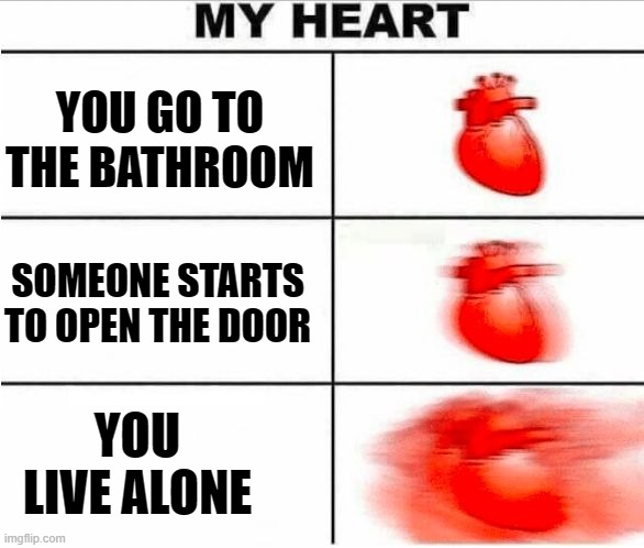 Heartbeat |  YOU GO TO THE BATHROOM; SOMEONE STARTS TO OPEN THE DOOR; YOU LIVE ALONE | image tagged in heartbeat | made w/ Imgflip meme maker