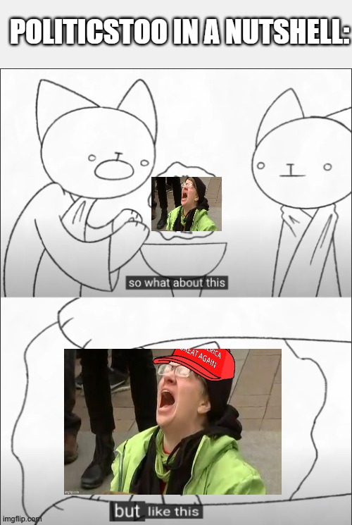 Just put a MAGA hat on it | POLITICSTOO IN A NUTSHELL: | image tagged in but like this | made w/ Imgflip meme maker
