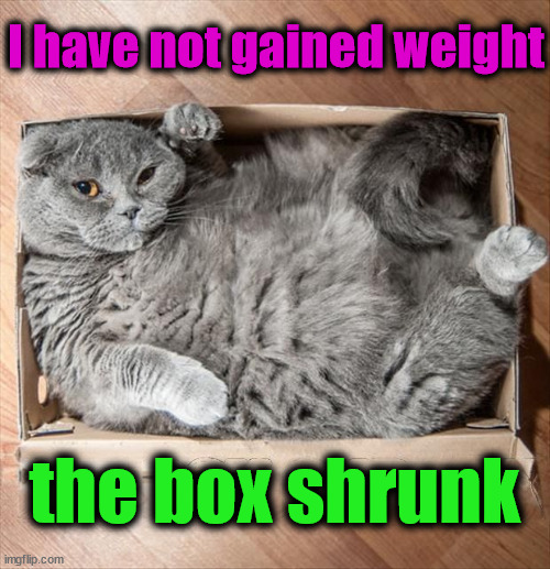 I have not gained weight; the box shrunk | image tagged in cats | made w/ Imgflip meme maker