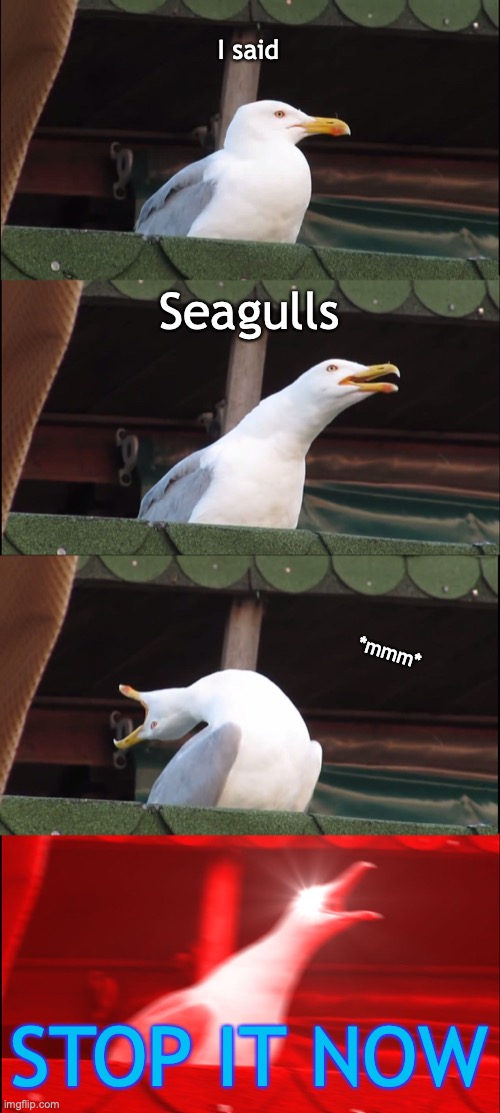 Got hit in the neck with a hacky-sack | I said; Seagulls; *mmm*; STOP IT NOW | image tagged in memes,inhaling seagull,seagulls,stop it now,star wars,yoda | made w/ Imgflip meme maker