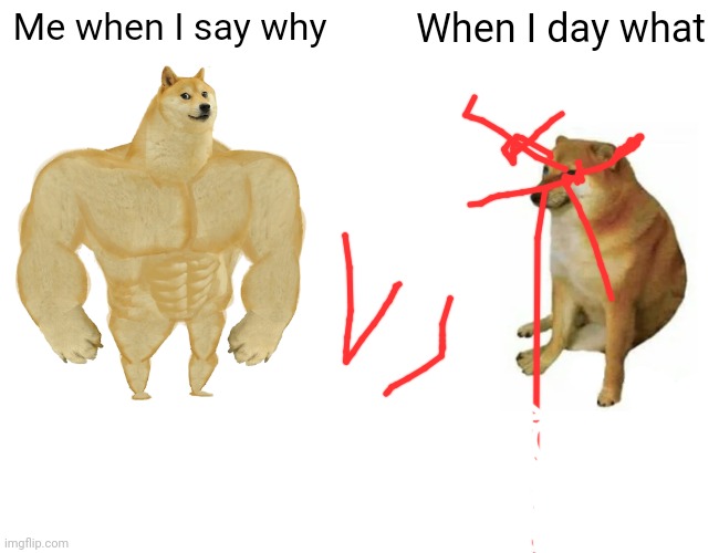 What vs why | Me when I say why; When I day what | image tagged in memes,buff doge vs cheems | made w/ Imgflip meme maker