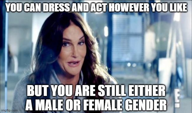 Caitlyn Jenner shrugs,,, | YOU CAN DRESS AND ACT HOWEVER YOU LIKE; BUT YOU ARE STILL EITHER A MALE OR FEMALE GENDER | image tagged in caitlyn jenner shrugs | made w/ Imgflip meme maker