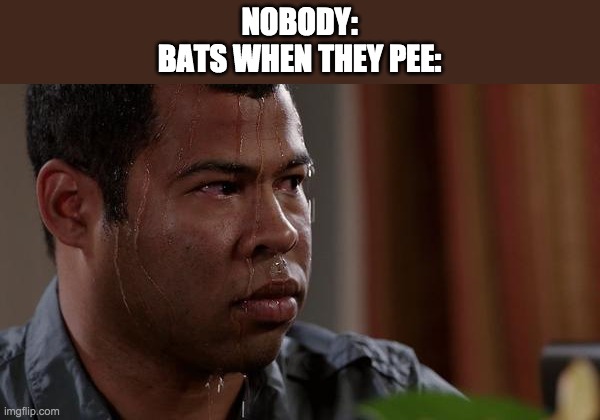 peeing bats | NOBODY:
BATS WHEN THEY PEE: | image tagged in sweating bullets | made w/ Imgflip meme maker