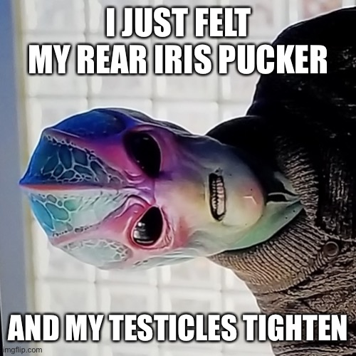 Resident Alien | I JUST FELT MY REAR IRIS PUCKER; AND MY TESTICLES TIGHTEN | image tagged in resident alien | made w/ Imgflip meme maker