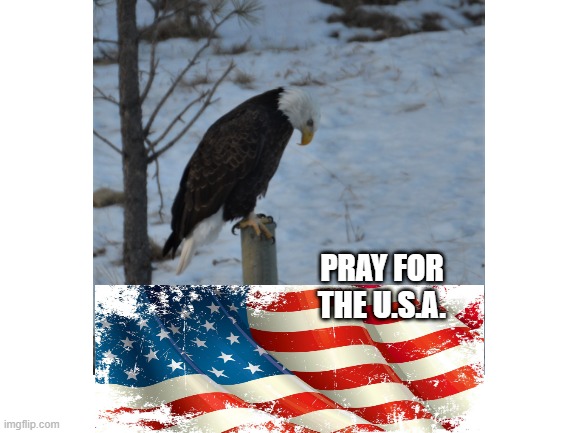 Pray for the U.S.A. | PRAY FOR THE U.S.A. | image tagged in pray,eagle,flag | made w/ Imgflip meme maker