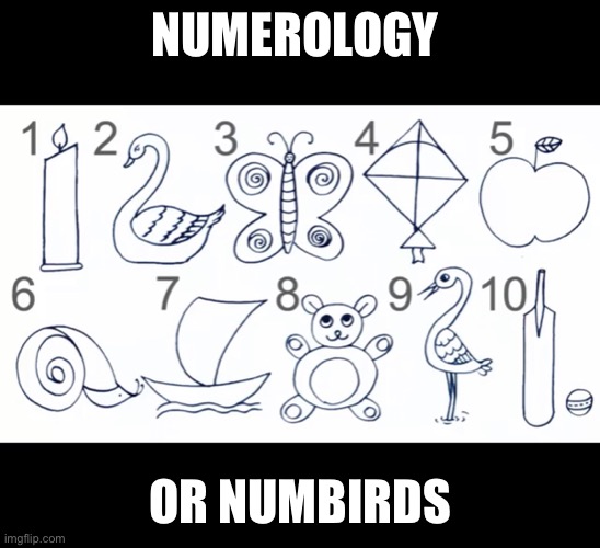 numbirds | NUMEROLOGY; OR NUMBIRDS | image tagged in numbirds | made w/ Imgflip meme maker