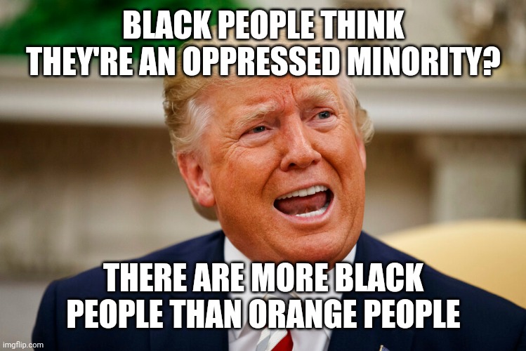 BLACK PEOPLE THINK THEY'RE AN OPPRESSED MINORITY? THERE ARE MORE BLACK PEOPLE THAN ORANGE PEOPLE | image tagged in blah blah blah | made w/ Imgflip meme maker