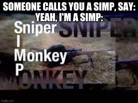 new temp lol | SOMEONE CALLS YOU A SIMP, SAY:
YEAH, I'M A SIMP: | image tagged in yeah i'm a simp sniper monkey | made w/ Imgflip meme maker