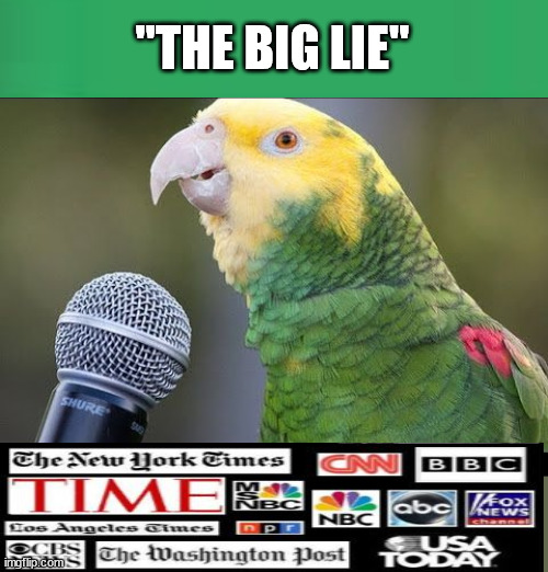 The Big LIE...says the parrot over and over again | "THE BIG LIE" | image tagged in guilty by accusation,election,diabolical liar,projection | made w/ Imgflip meme maker