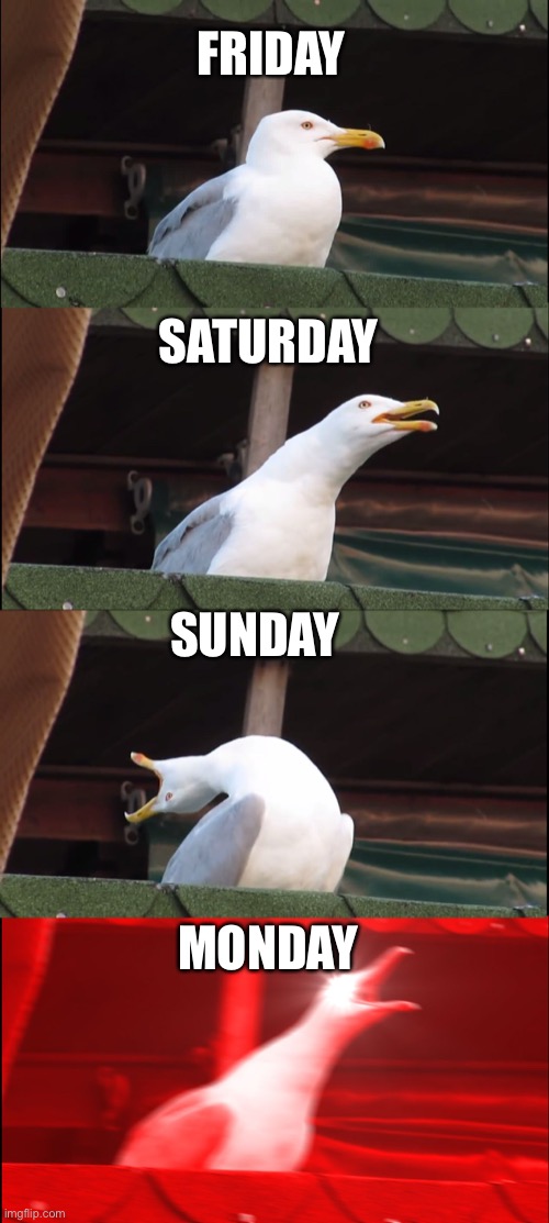 My week | FRIDAY; SATURDAY; SUNDAY; MONDAY | image tagged in memes,inhaling seagull | made w/ Imgflip meme maker