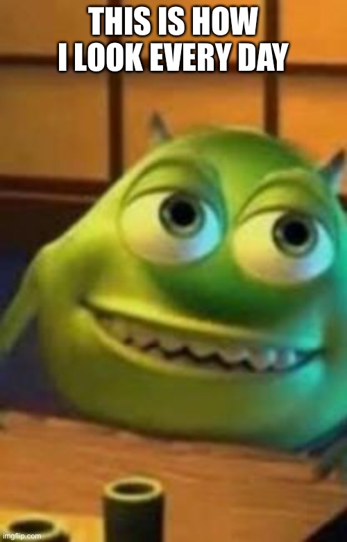 Me in the morning | THIS IS HOW I LOOK EVERY DAY | image tagged in mike wazowski | made w/ Imgflip meme maker