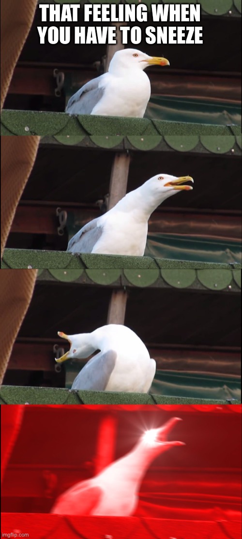 Inhaling Seagull | THAT FEELING WHEN YOU HAVE TO SNEEZE | image tagged in memes,inhaling seagull | made w/ Imgflip meme maker