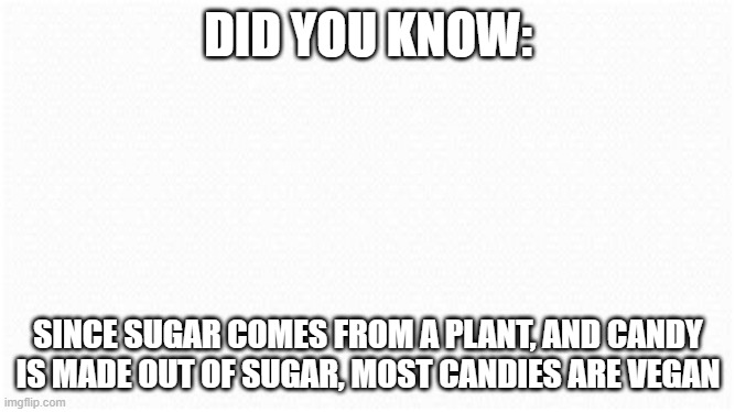 DID YOU KNOW:; SINCE SUGAR COMES FROM A PLANT, AND CANDY IS MADE OUT OF SUGAR, MOST CANDIES ARE VEGAN | image tagged in funny | made w/ Imgflip meme maker